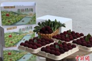 农历日历高速赋能产业升级：一条“杨梅路”的致富密码